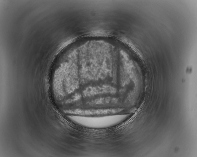 X0000098021213200804251129