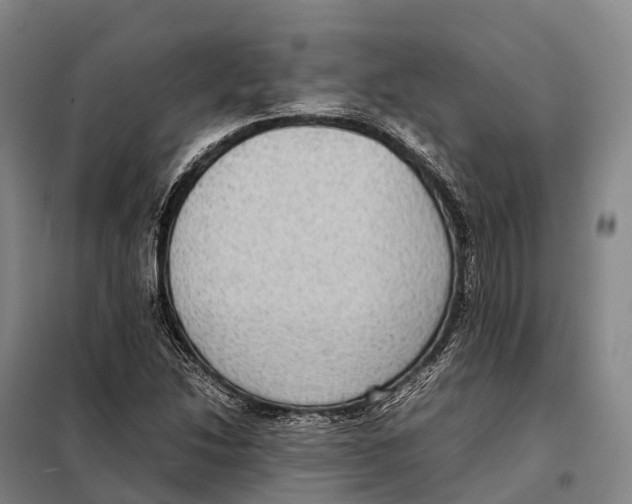 X0000098021214200804251129