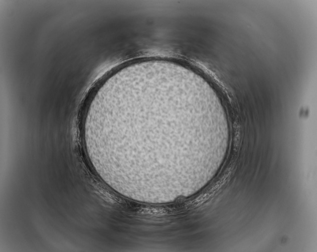 X0000098021215200804251129