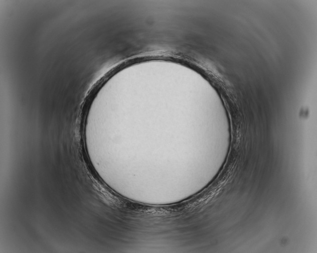 X0000098021216200804251129
