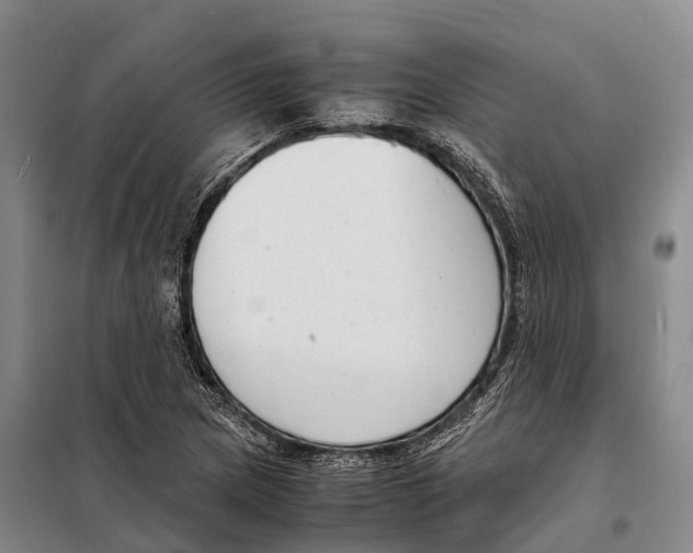 X0000098021217200804251129