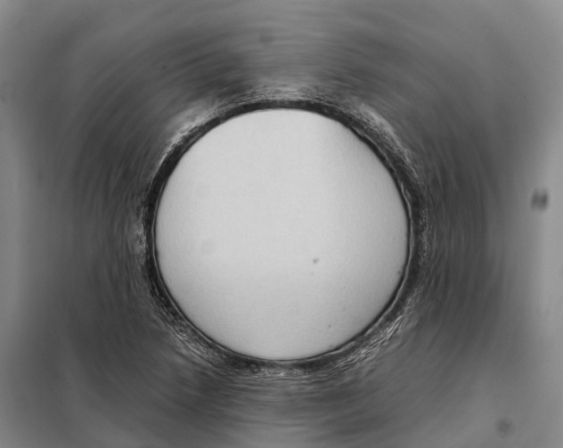 X0000098021218200804251129