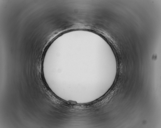 X0000098021220200804251129