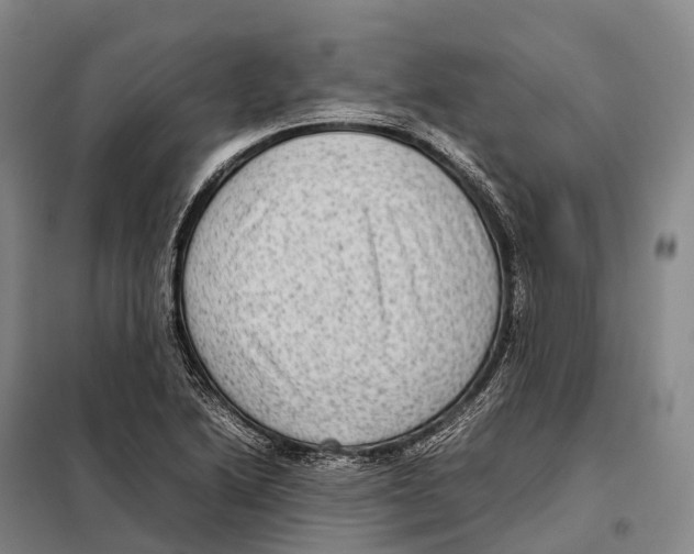 X0000098021222200804251129