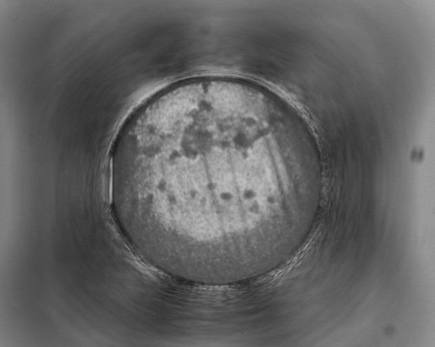 X0000098021223200804251129