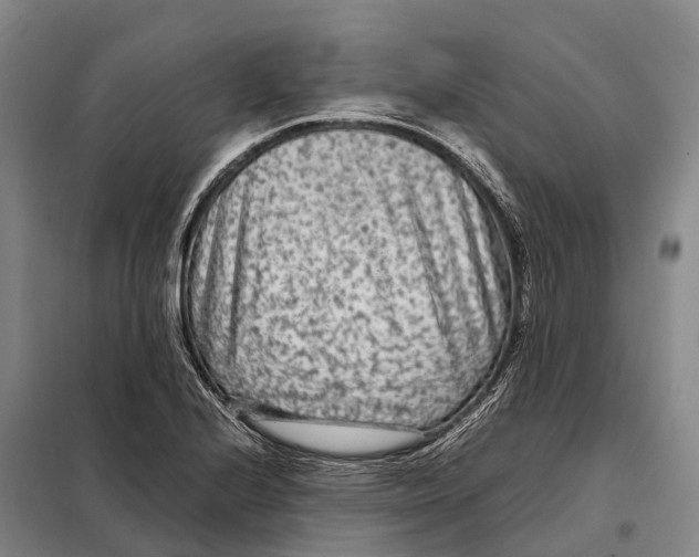 X0000098021224200804251129