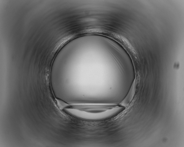X0000098021225200804251129