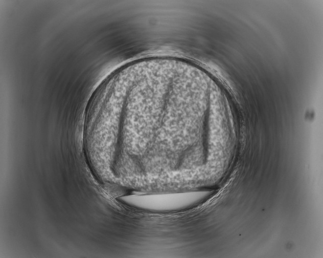 X0000098021228200804251130