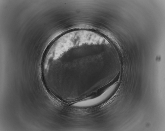 X0000098021229200804251130