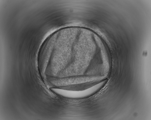 X0000098021230200804251130