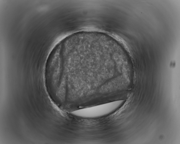 X0000098021231200804251130