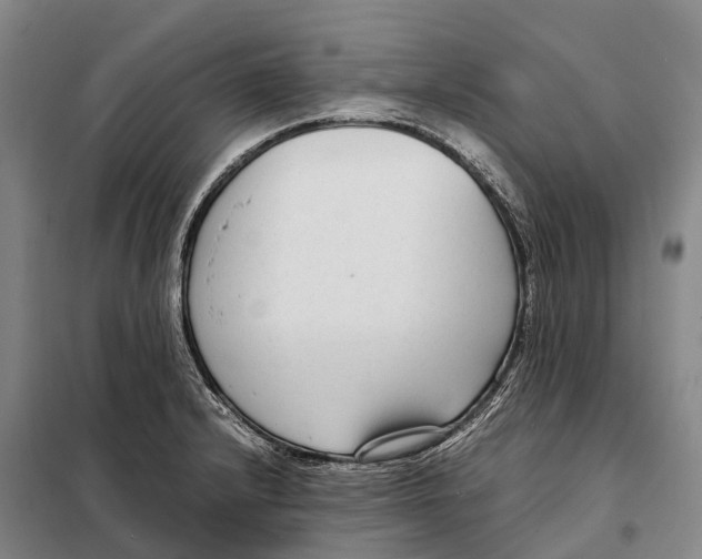 X0000098021232200804251130