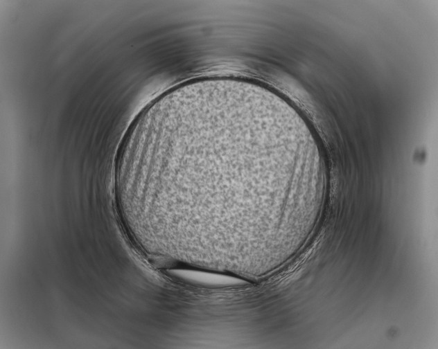X0000098021234200804251130
