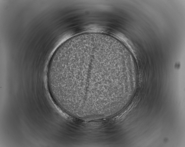 X0000098021235200804251130