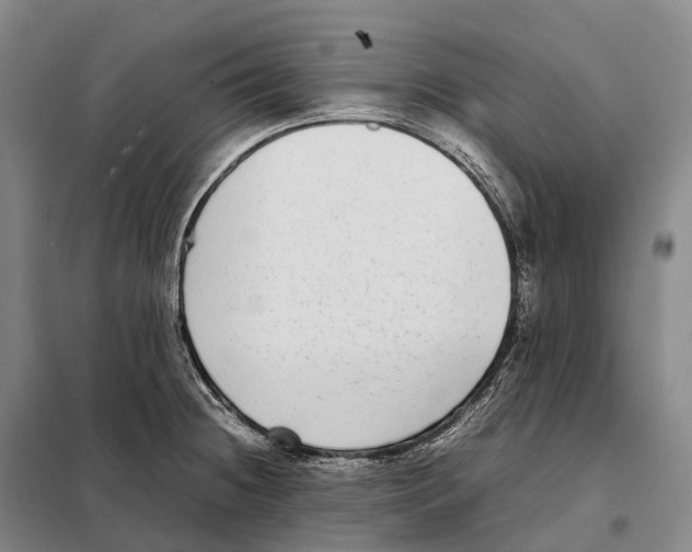 X0000098021236200804251130