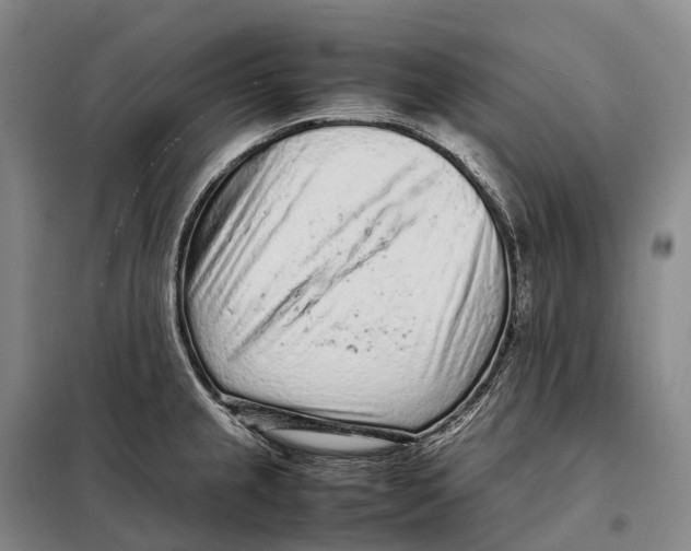 X0000098021237200804251130