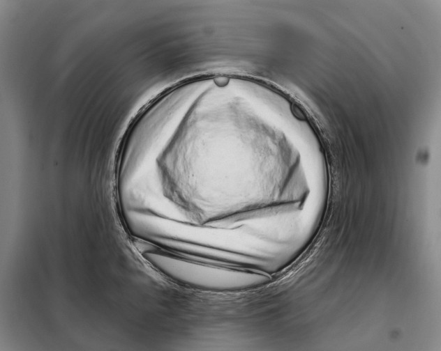 X0000098021240200804251130