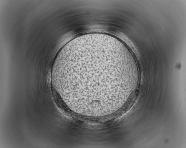 X0000098021241200804251130
