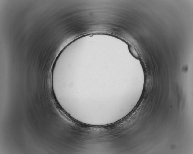 X0000098021242200804251130