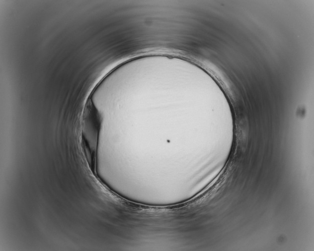 X0000098021244200804251130