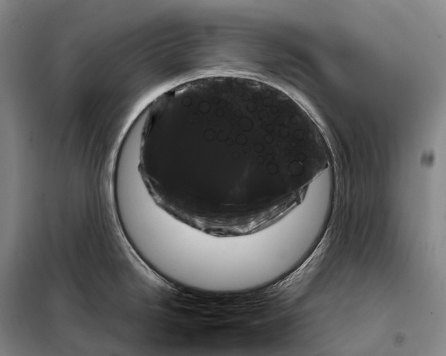X0000098021246200804251130