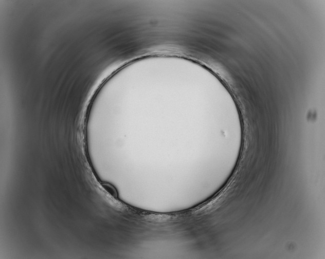 X0000098021248200804251130