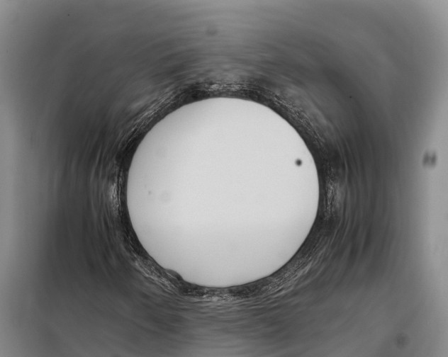 X0000098021250200804251129