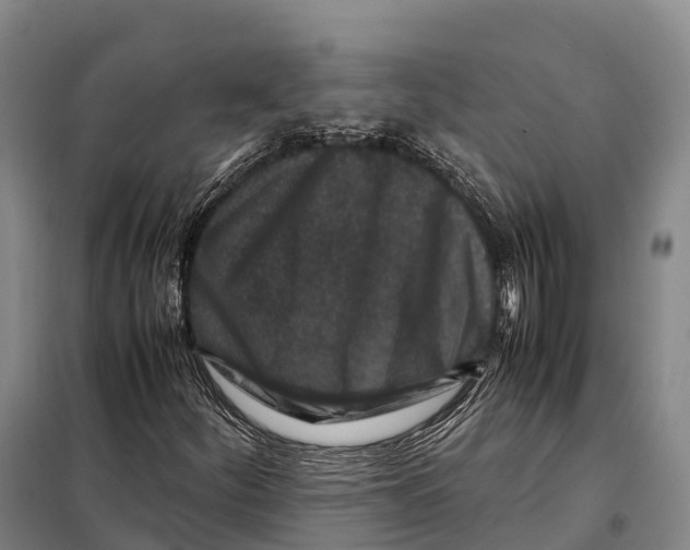 X0000098021252200804251129
