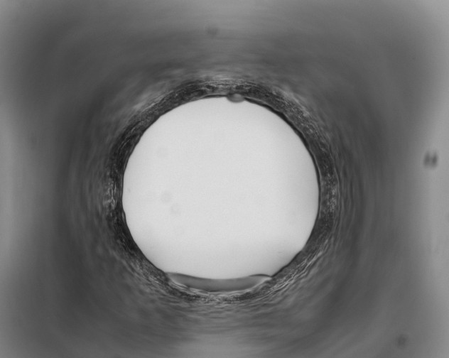 X0000098021253200804251129