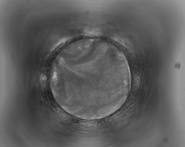 X0000098021254200804251129