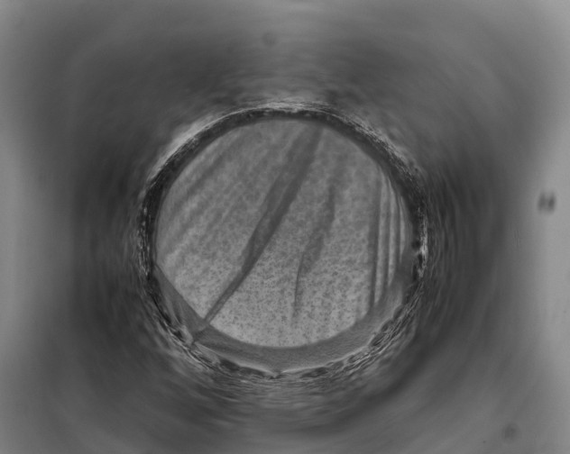 X0000098021256200804251129