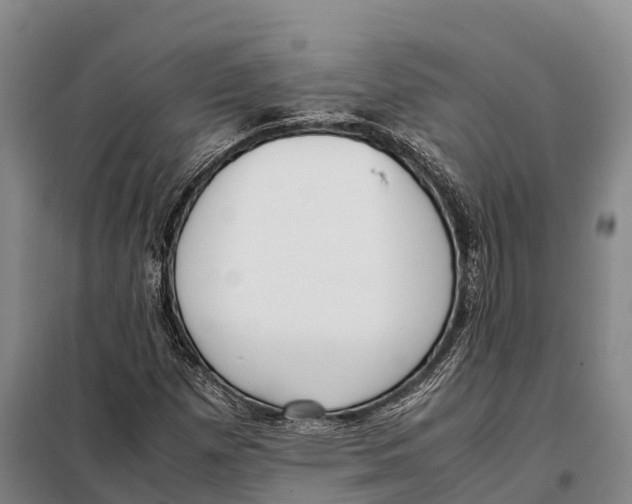X0000098021257200804251129