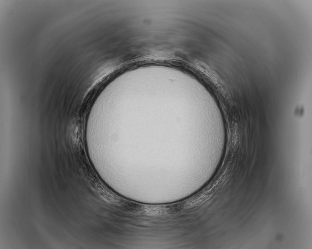 X0000098021258200804251129