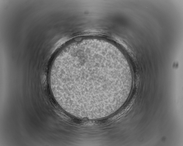 X0000098021259200804251129