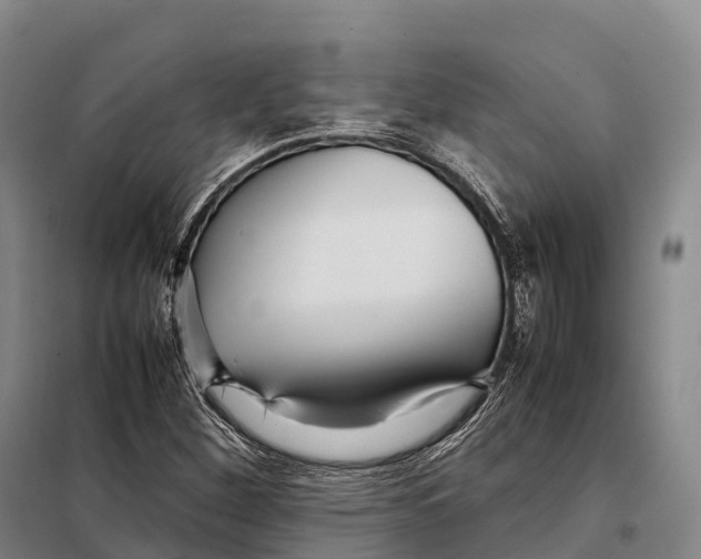 X0000098021260200804251129