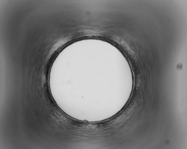 X0000098021261200804251129
