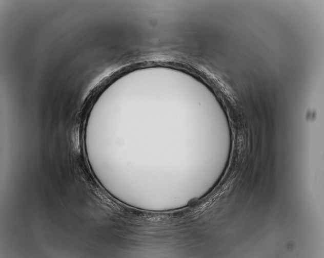 X0000098021262200804251129