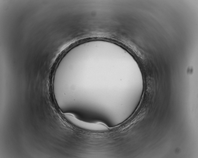 X0000098021264200804251129