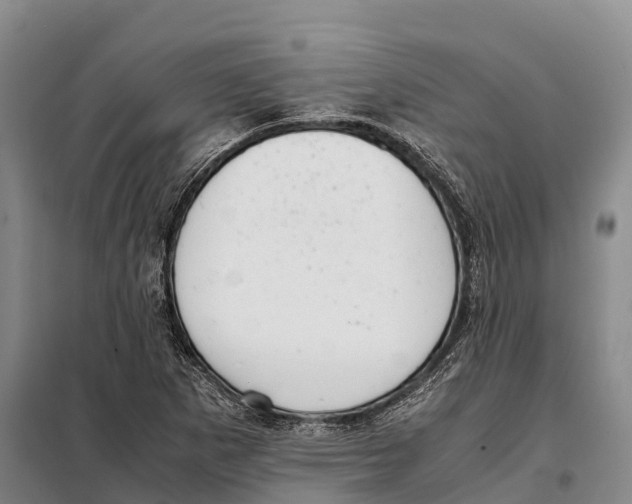 X0000098021265200804251129