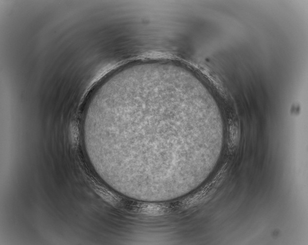 X0000098021266200804251129