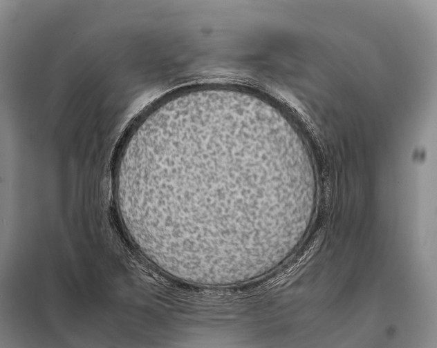 X0000098021267200804251129