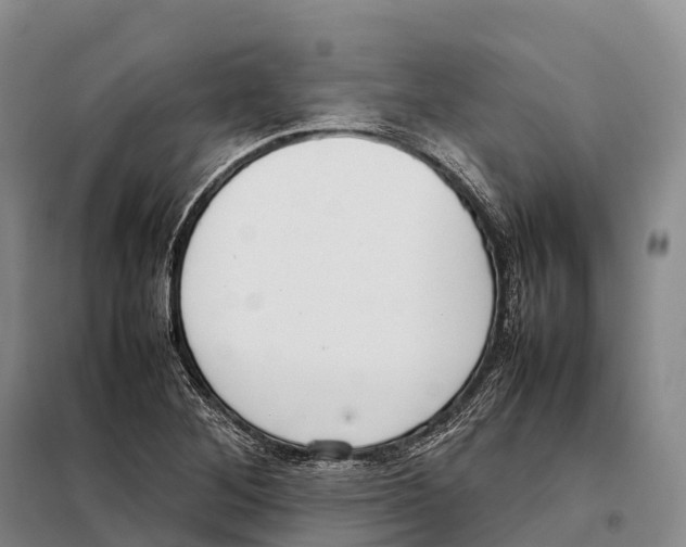 X0000098021268200804251129