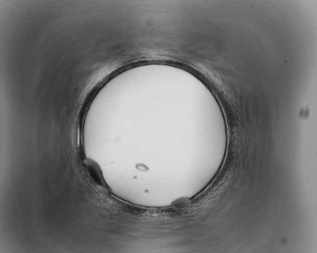 X0000098021269200804251129