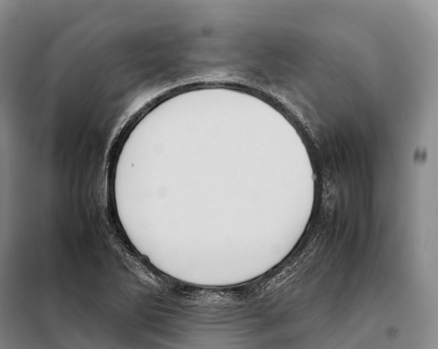 X0000098021270200804251129