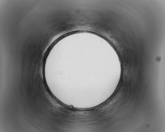 X0000098021272200804251129