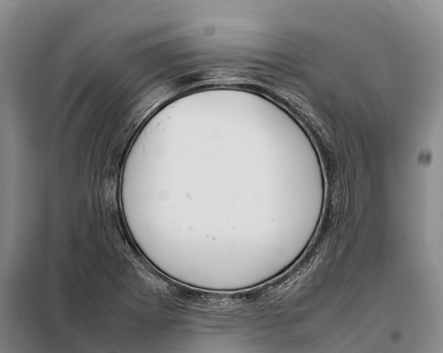 X0000098021273200804251129
