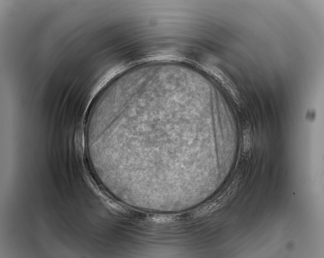 X0000098021274200804251129