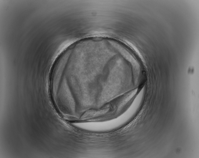 X0000098021277200804251129
