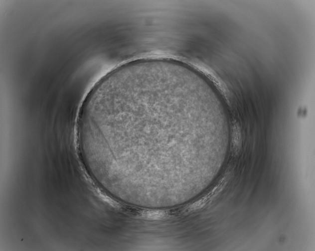 X0000098021278200804251129