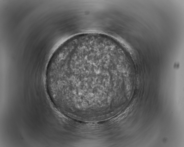 X0000098021279200804251129
